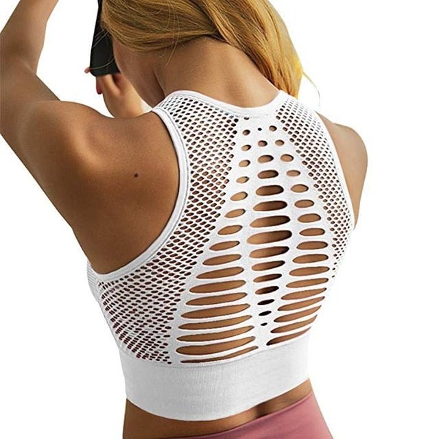 Mesh Back Padded Sports Bra - Flamin' Fitness