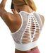 Mesh Back Padded Sports Bra - Flamin' Fitness