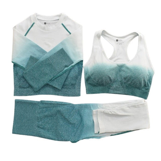 Seamless Ombre Complete Gym Set - Flamin' Fitness