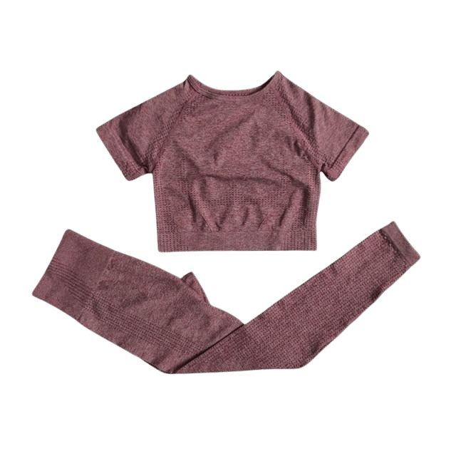 Short Sleeve Top & Leggings Gym Set - Flamin' Fitness