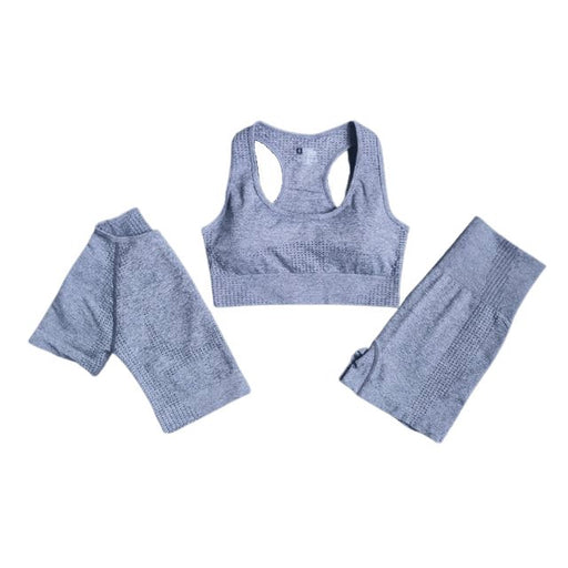 Sports Bra, Short Sleeve Top & Shorts Gym Set - Flamin' Fitness