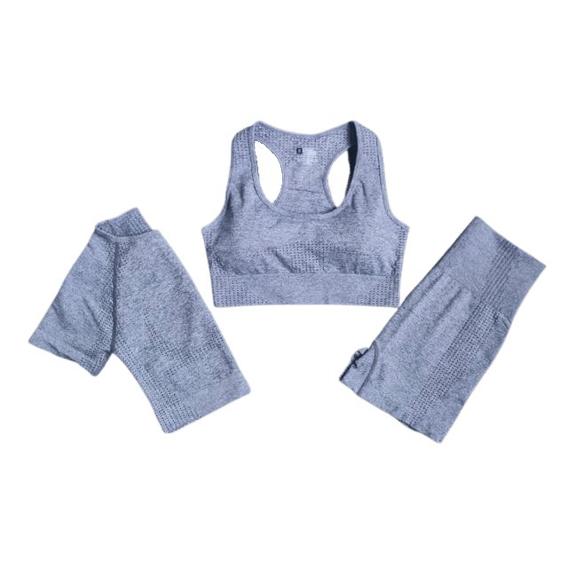 Sports Bra, Short Sleeve Top & Shorts Gym Set - Flamin' Fitness