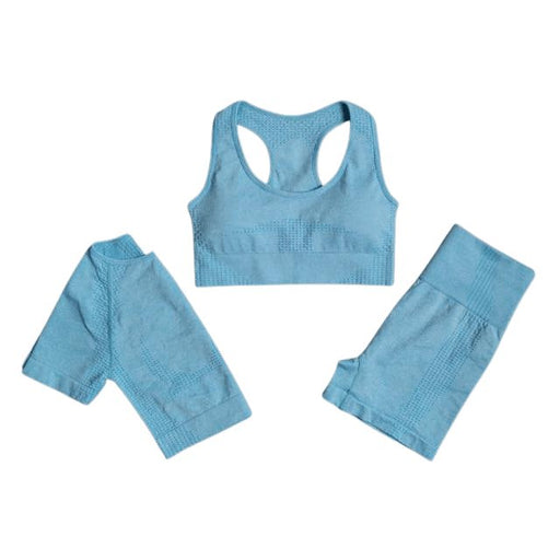Sports Bra, Short Sleeve Top & Shorts Gym Set - Flamin' Fitness
