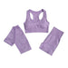 Sports Bra, Short Sleeve Top & Shorts Gym Set - Flamin' Fitness