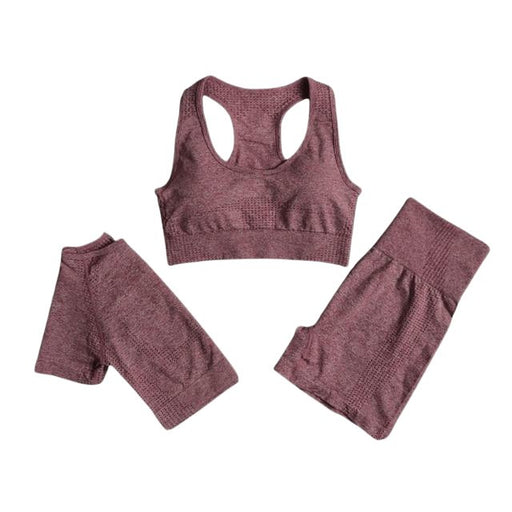 Sports Bra, Short Sleeve Top & Shorts Gym Set - Flamin' Fitness