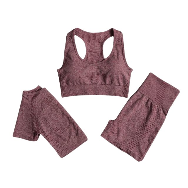 Sports Bra, Short Sleeve Top & Shorts Gym Set - Flamin' Fitness