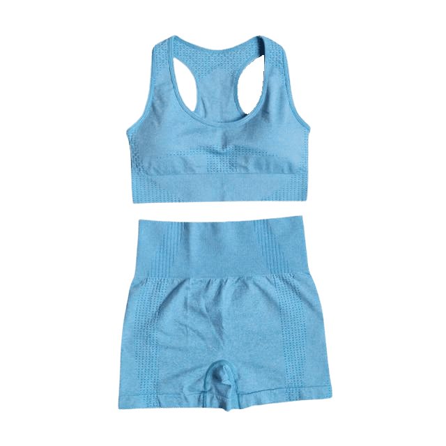 Sports Bra & Shorts Gym Set - Flamin' Fitness