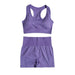 Sports Bra & Shorts Gym Set - Flamin' Fitness